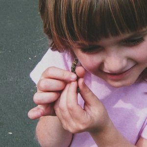 UTB Essentials: “Butterflies” by Mar&nbsp;Stellium